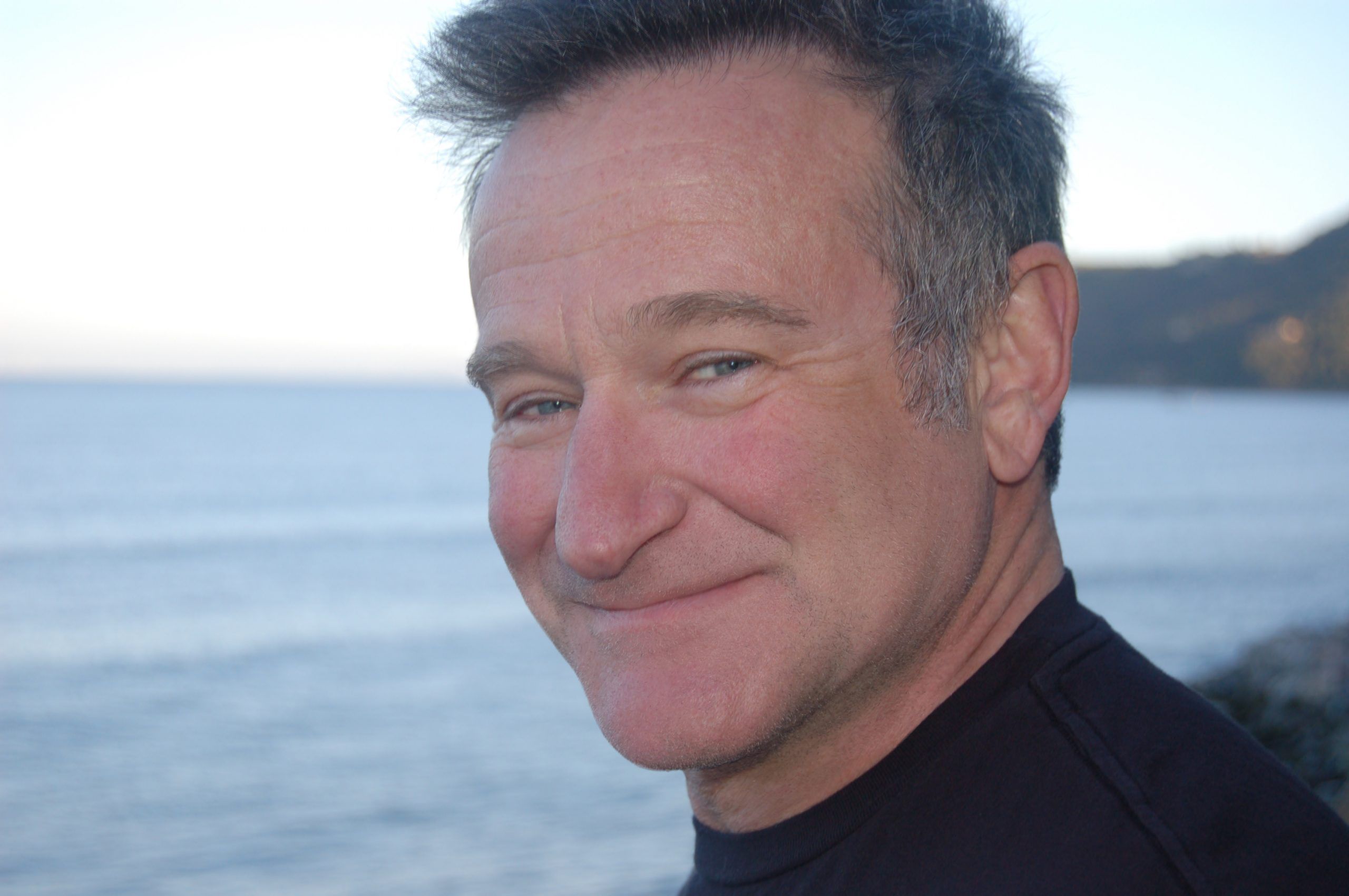 Robin Williams film 2014