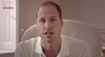 Principe William sfida tutti su Angry Birds, per beneficenza