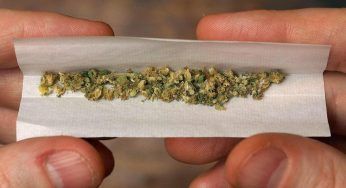 Legalizzazione della marijuana in Italia: i pro e i contro