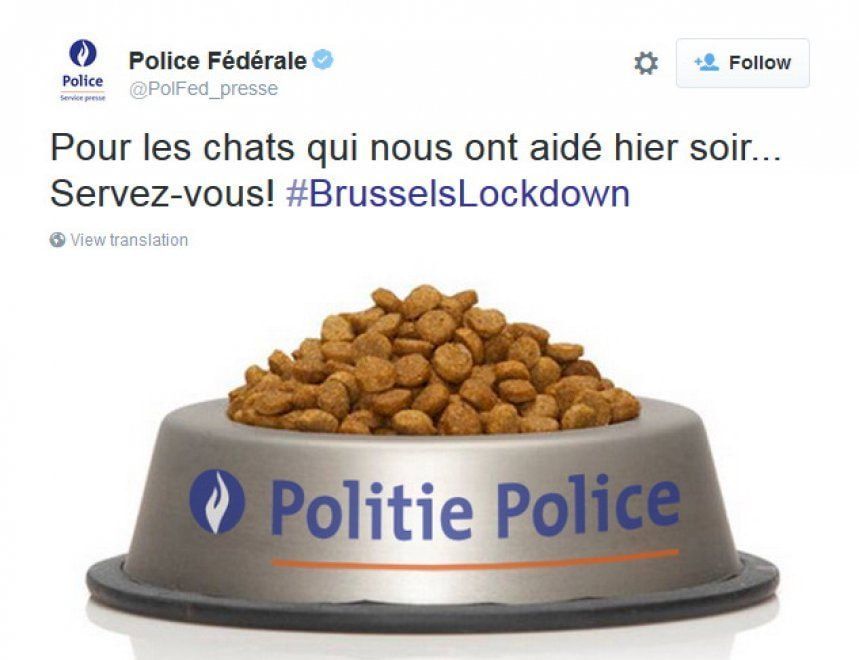 Tweet Polizia gatti contro terrorismo