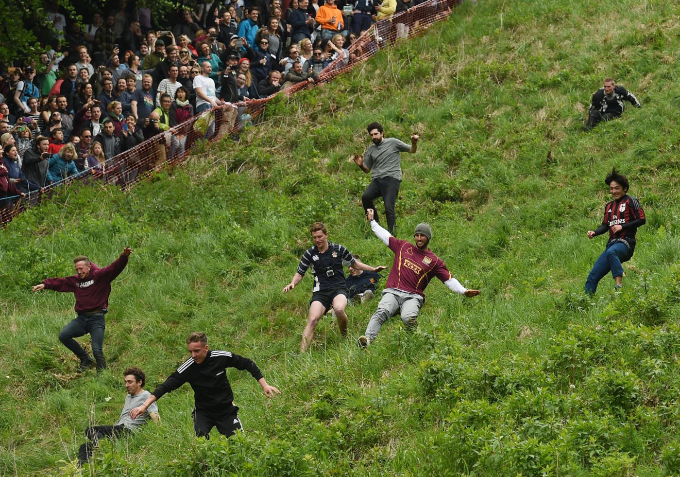 Cheese Rolling race 2016