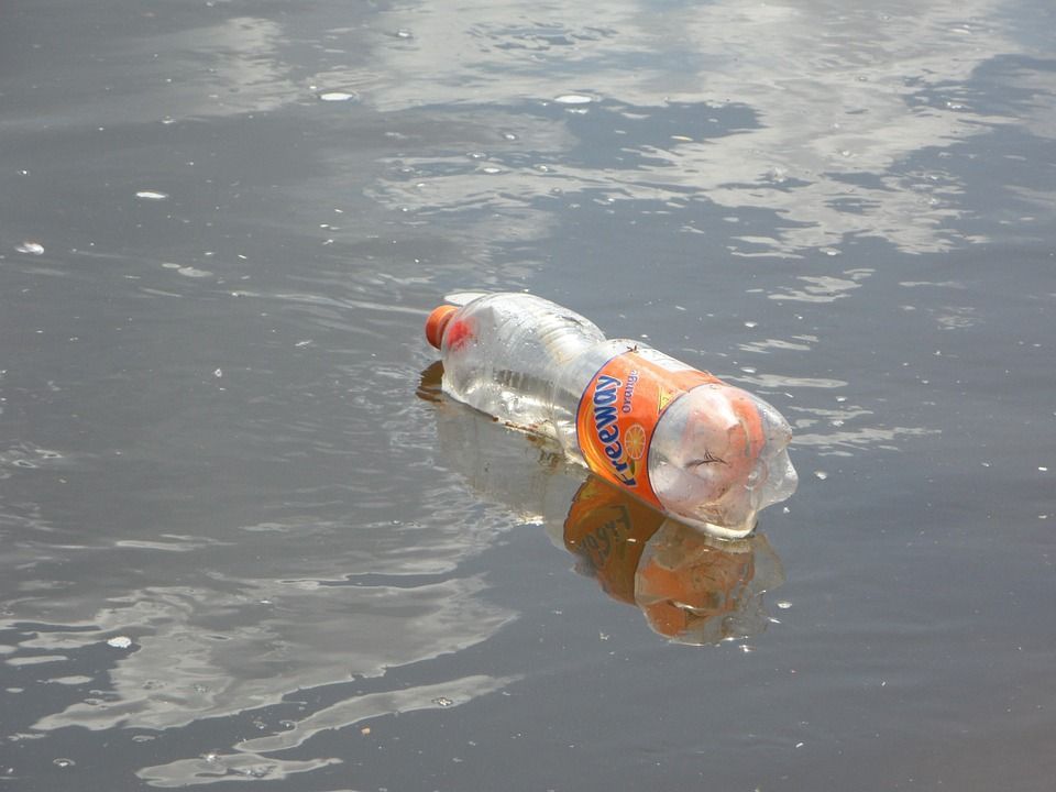 plastica biodegradabile