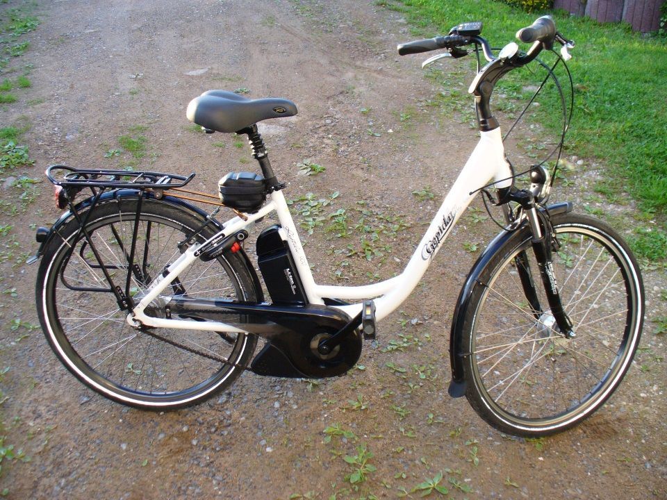 bici pedalata assistita