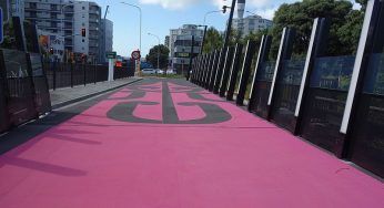 Pista ciclabile rosa in Nuova Zelanda: quando l’ecologia diventa trendy