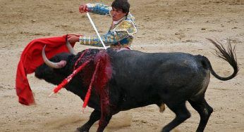 Finanziamento corrida, passa emendamento Ue per l’abolizione