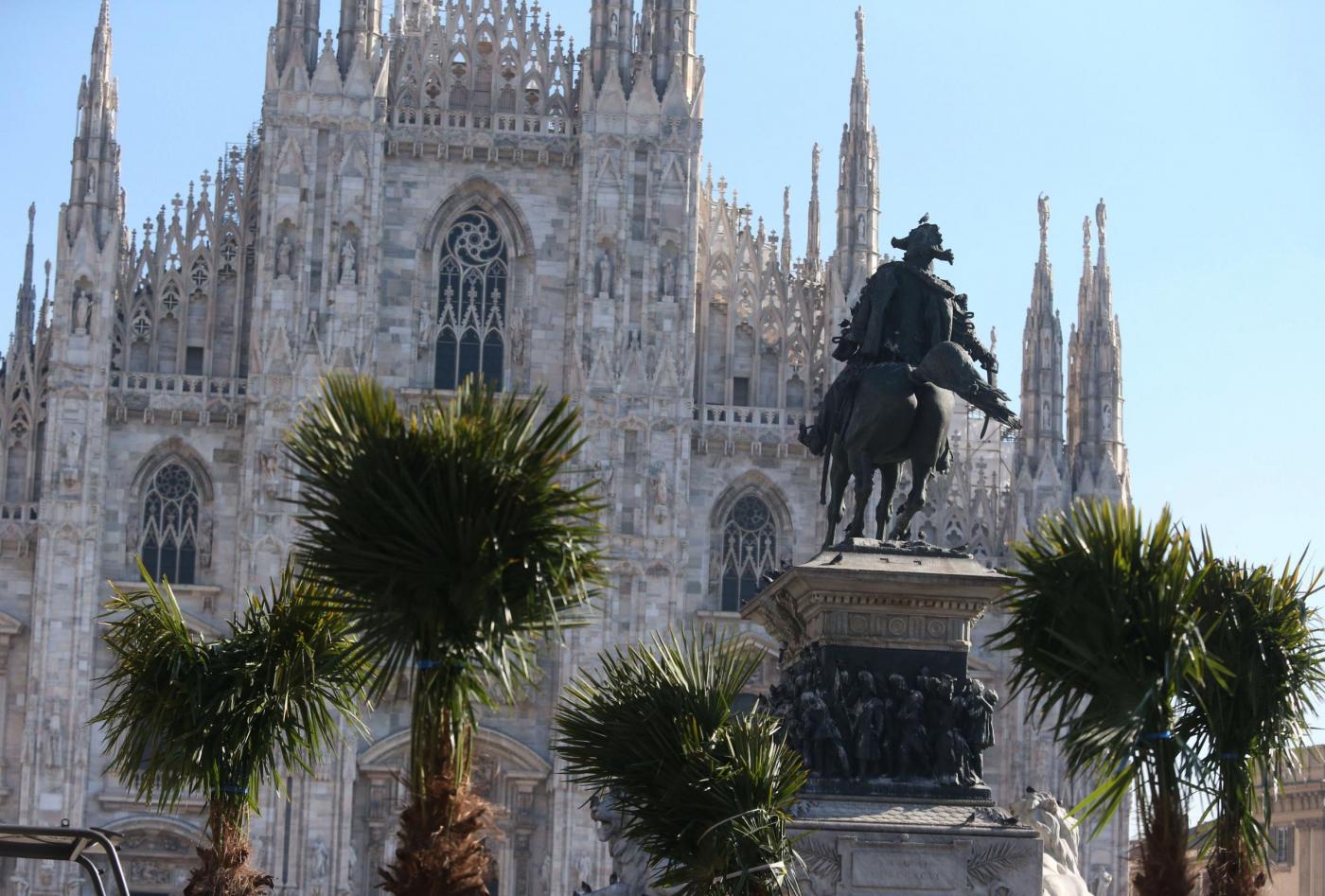Palme in Piazza del Duomo a Milano