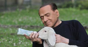 Berlusconi salva l’agnello dal pranzo di Pasqua: il Cavaliere sposa la campagna animalista della Brambilla