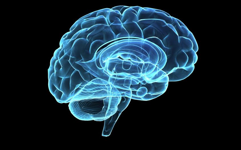 Cervello alimenti che fanno bene al cervello