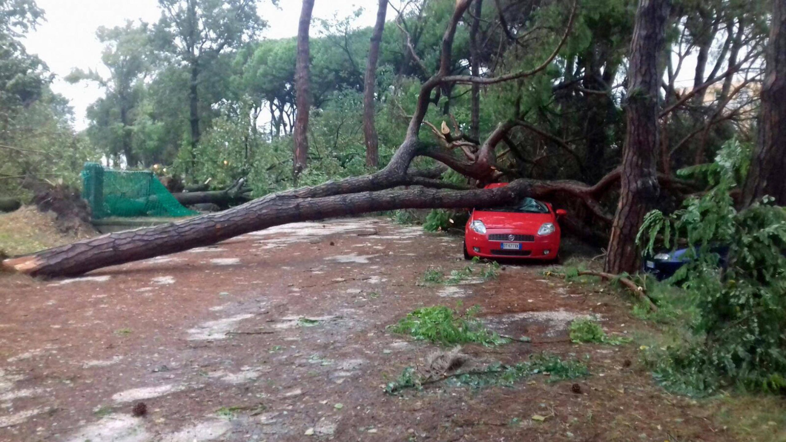 Maltempo: alberi caduti e finestre rotte in Ulss 4 Veneto