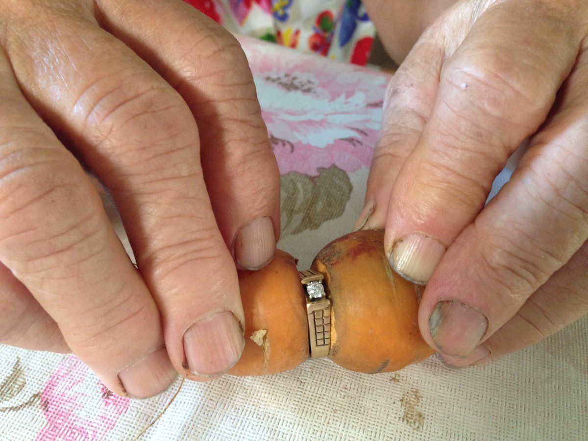 carota trovata in orto 13 anni dopo