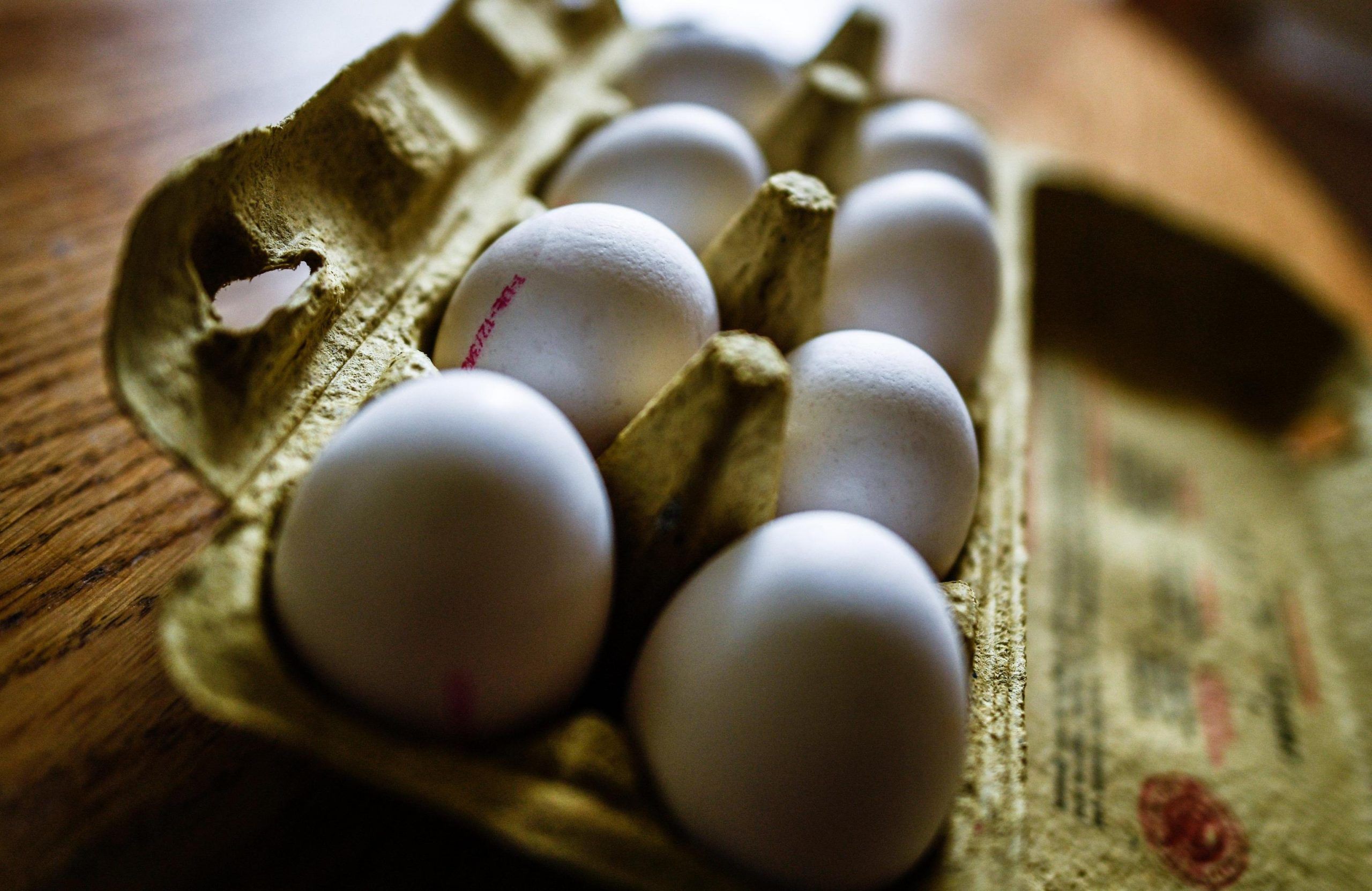 Fipronil uova sintomi cura rimedi rischi