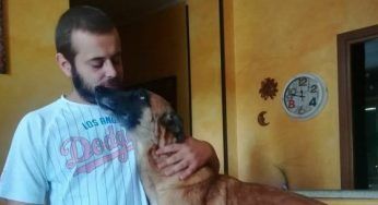 Torino, ucciso dal cane che doveva addestrare