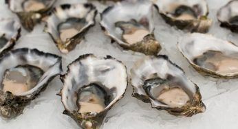 Richiamate ostriche per rischio chimico: riscontrata presenza di biotossine