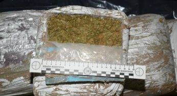 Richiedente asilo arrestato con mezzo chilo di hashish, il giudice lo lascia a piede libero