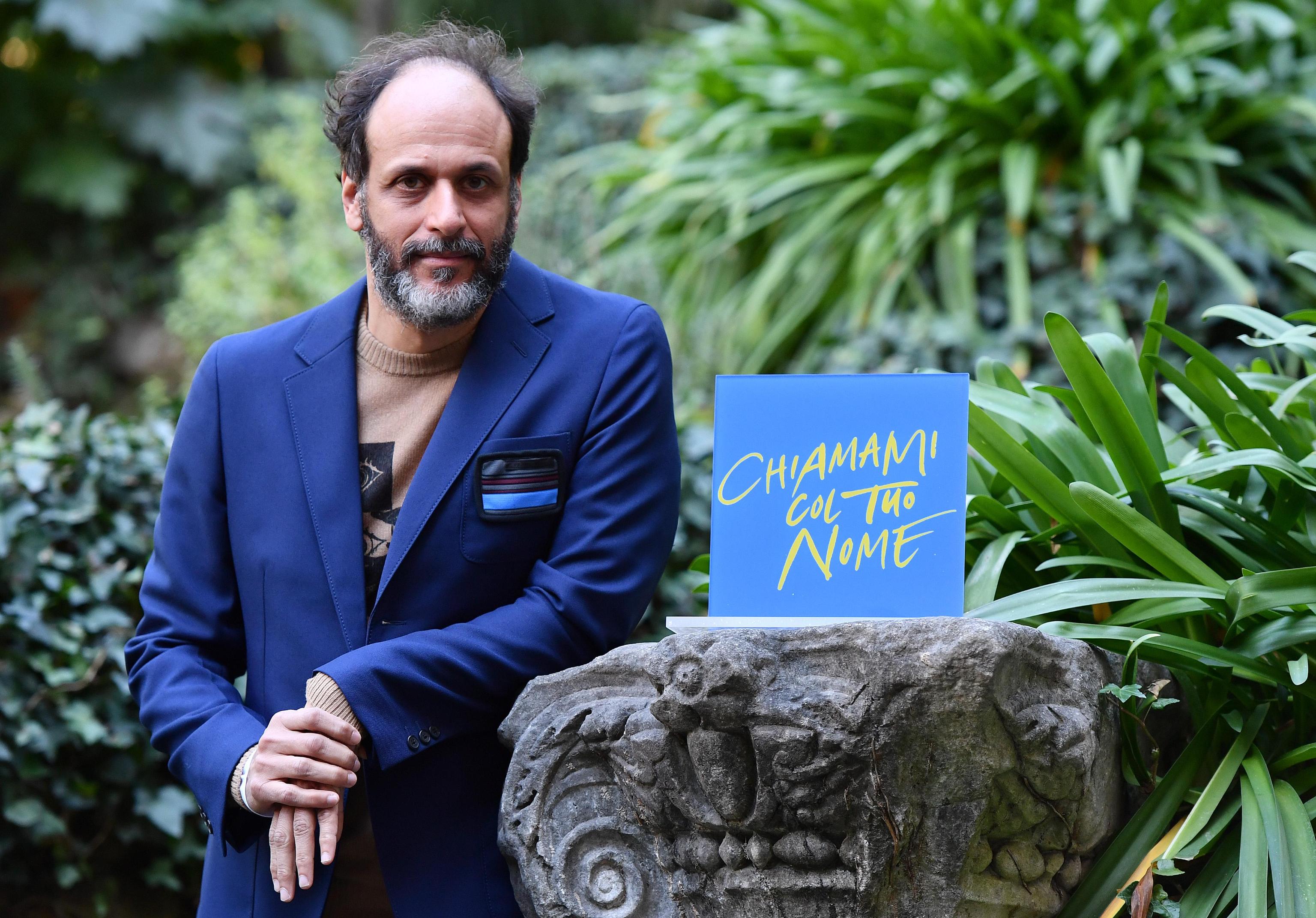 Next photo of Luca Guadagnino