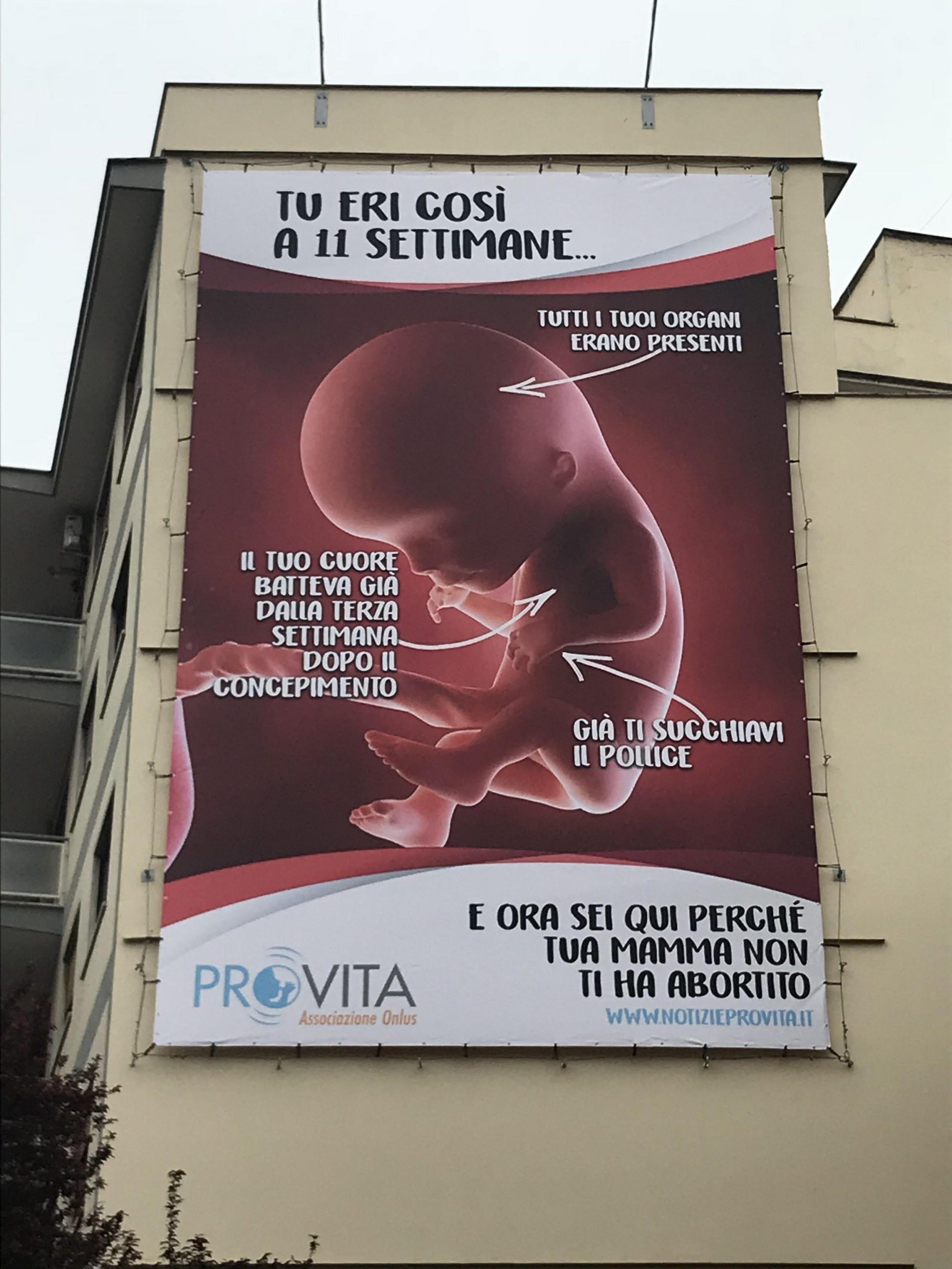 Manifesto ProVita a Roma