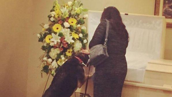 cane assiete il funerale del padrone