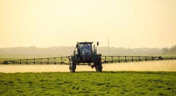 Il glifosato è un pericolo solo per gli altri? No, c’è anche in Italia e inquina