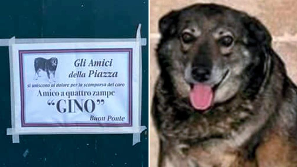 manifesti funebri per cane Gino