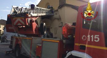 Rho, incendio nel gattile: 100 mici morti nel rogo
