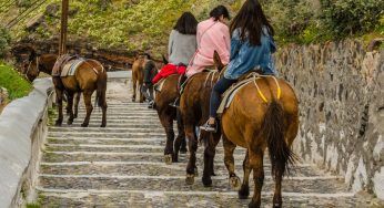 Santorini: niente passeggiate in groppa agli asini per i turisti obesi