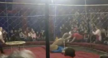 Paura al circo, il leone attacca la bambina nel pubblico