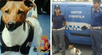 Pocho, cane antidroga condannato a morte dalla Camorra