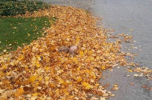 Bambino coperto foglie