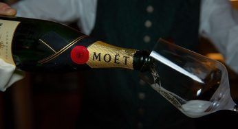 Roma: domestico ridotto in schiavitù, preso a bastonate e morso dai cani