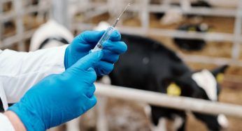 Come i vaccini hanno cambiato la storia