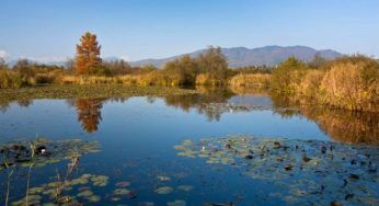 Ambiente: nel weekend la Festa delle Oasi e delle riserve Lipu
