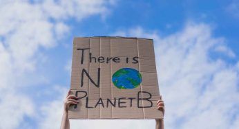Science pubblica un report sulla crisi della biodiversità