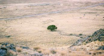 Emergenza climatica: Spagna e Portogallo, siccità mai vista in 1200 anni