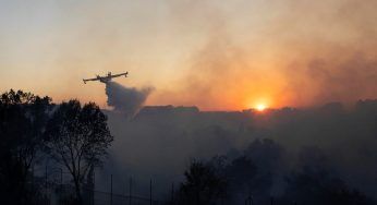 Incendio Oasi degli Astroni: è partito dai fuochi d’artificio per una festa di 18 anni