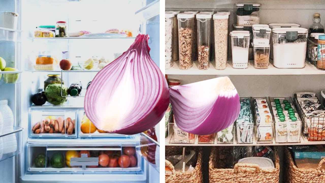 Cipolle, si conservano in frigo o in dispensa? Sbagliano praticamente tutti