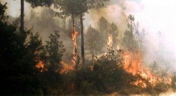 Drone anti incendi: arriva FireHound Zero per segnalare i roghi sul nostro territorio
