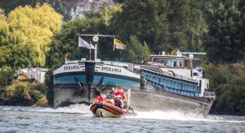 Beluga arenato nella Senna: “Poche le speranze di salvarlo”