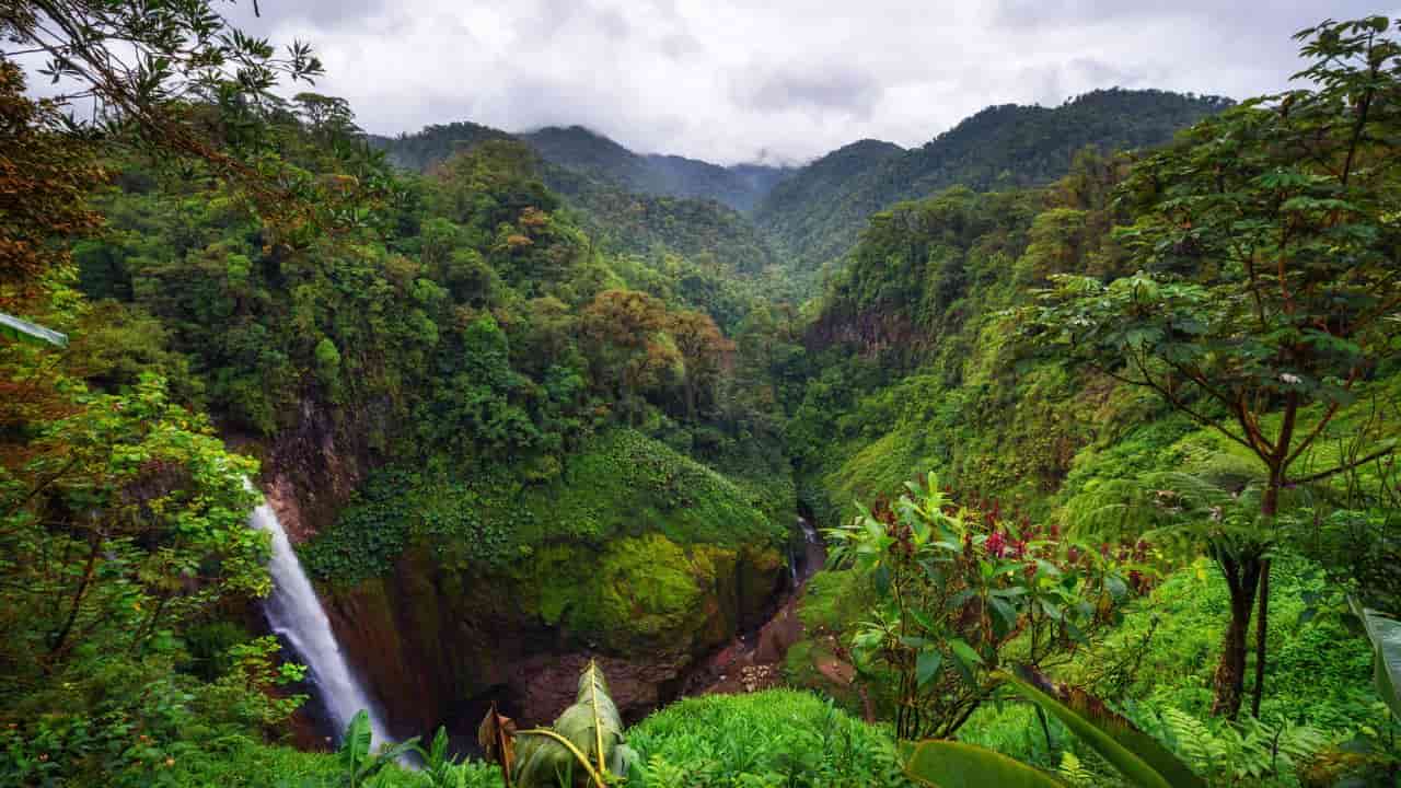 Foresta in Costa Rica