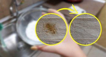 Macchie ostinate sulla tovaglia, lascia stare la candeggina: risolvi solo se usi questo