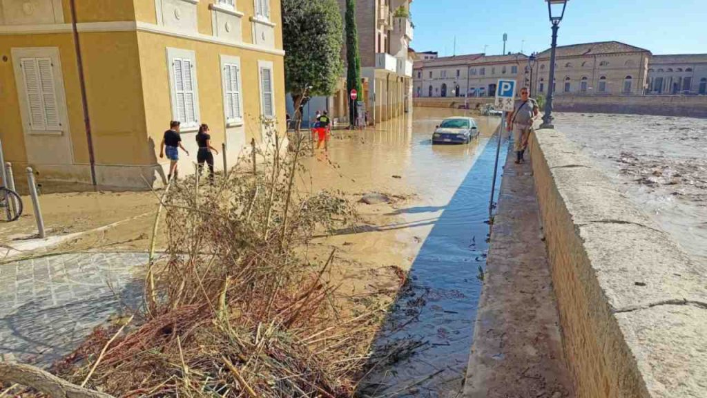 bicicletta bambino eta otto anni