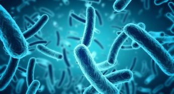 Covid, nuova variante BQ.1 in cinque paesi Eu | Presto dominerà l’Europa