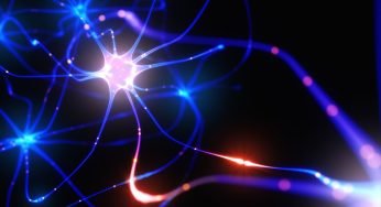 Neuroni coltivati in provetta imparano a giocare a Pong