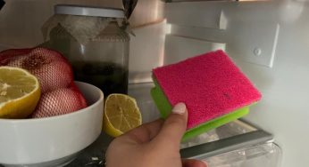 Metti una spugna per i piatti in frigo, perché potrebbe farti risparmiare