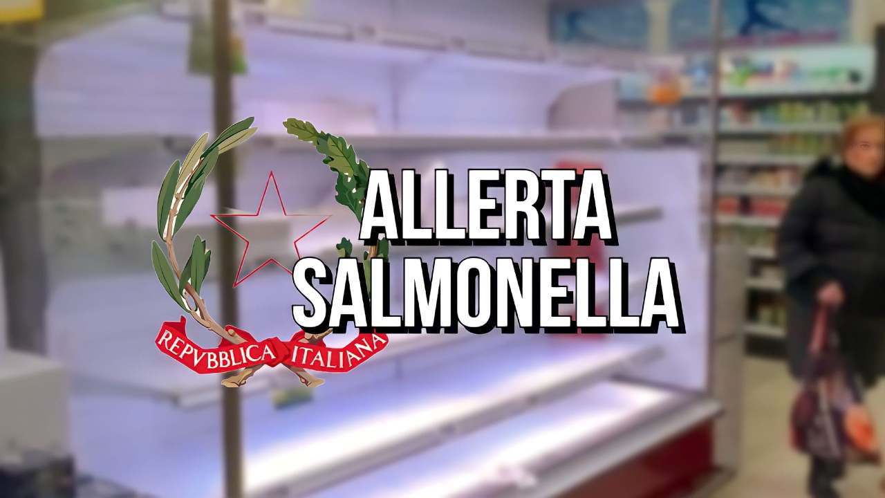 Allerta salmonella