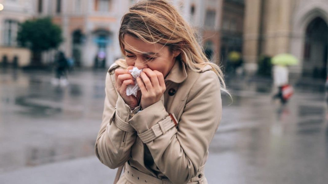 Arriva l'influenza stagionale cosa sapere, sintomi e trasmissione