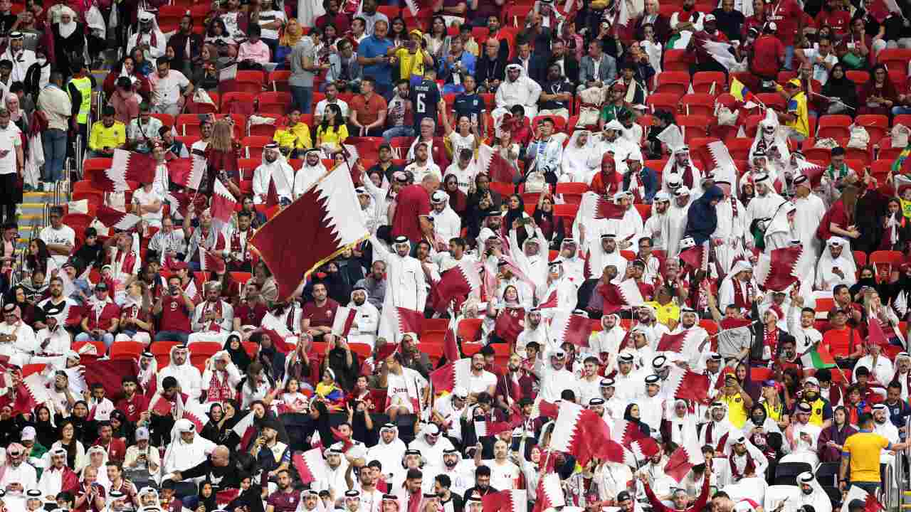Tifosi Qatar