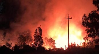 Record di incendi in Europa nel 2022: l’Italia è il Paese più colpito