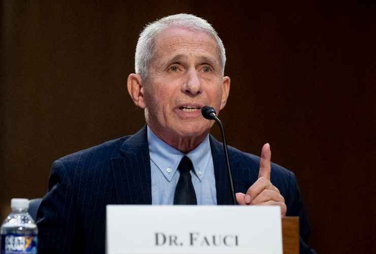 Anthony Fauci 