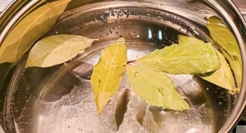 Basta cattivi odori in cucina: con questo rimedio naturale risolvi il problema