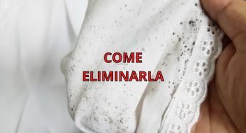 Muffa sui tessuti, come sbarazzarsi in fretta di questo problema